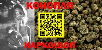 индика Гагарин