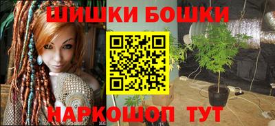 индика Гагарин