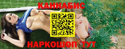 индика Гагарин