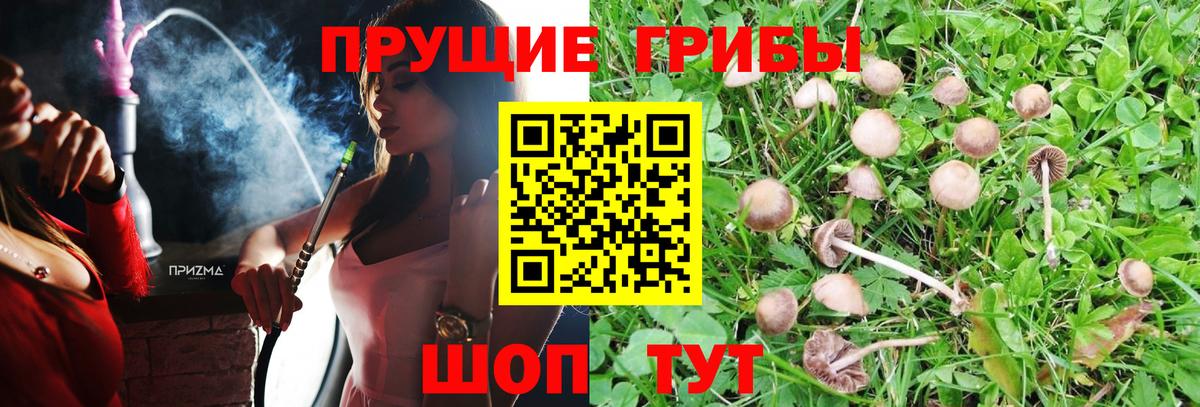 Галлюциногенные грибы MAGIC MUSHROOMS Ноябрьск