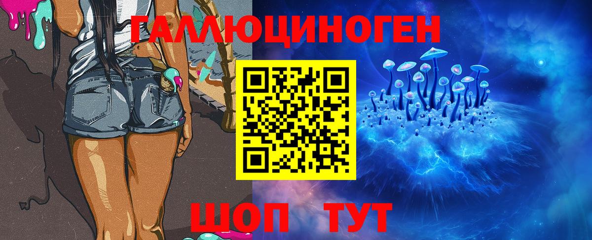 Псилоцибиновые грибы MAGIC MUSHROOMS  Вход с VPN  Ноябрьск 